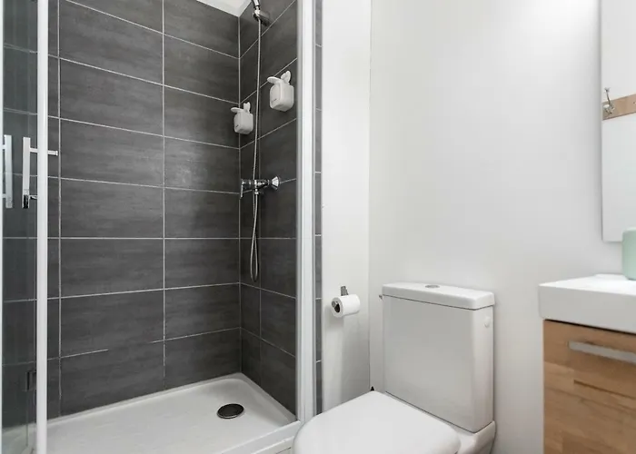 Duplex Lumineux Au Coeur De Avec Parking Daire *